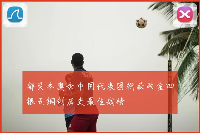 都灵冬奥会中国代表团斩获两金四银五铜创历史最佳战绩